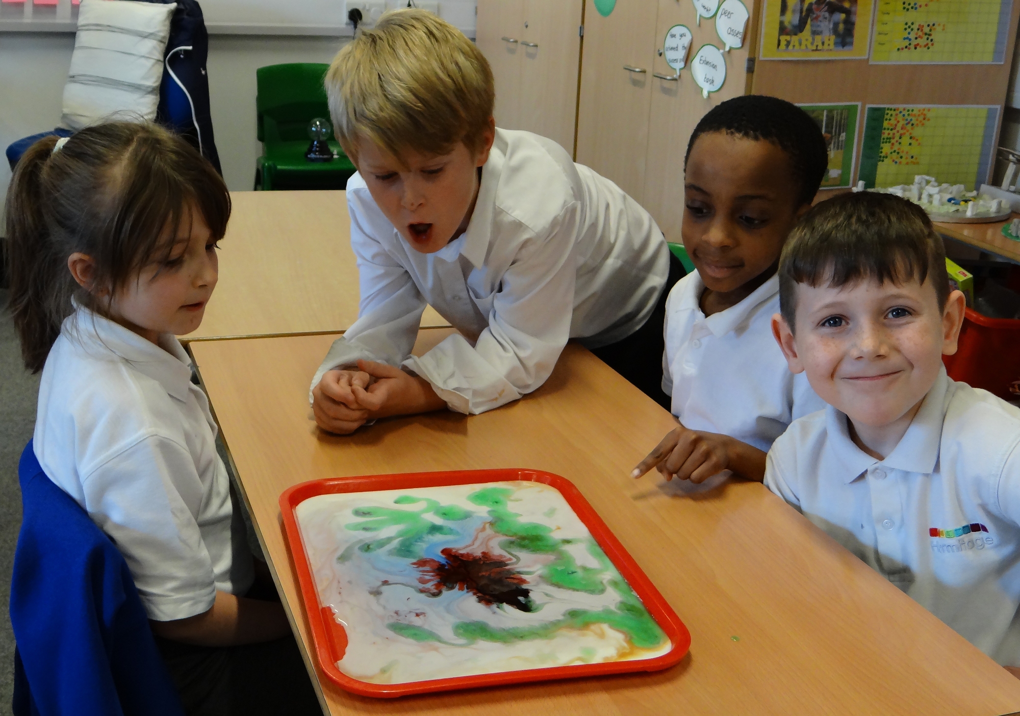Hermitage Primary School ExtraCurricular Opportunities